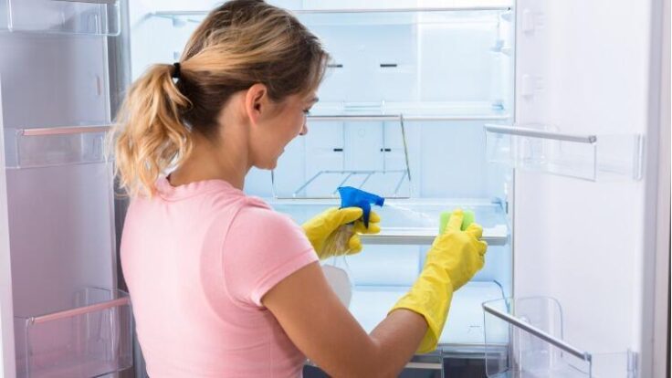 Buzdolabı nasıl temizlenir